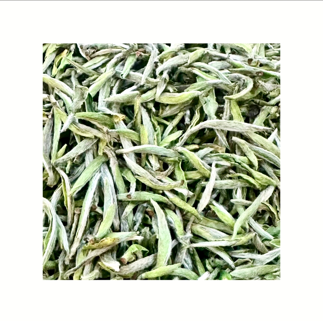 栖品荒野白毫银针福建高山头春白茶散茶