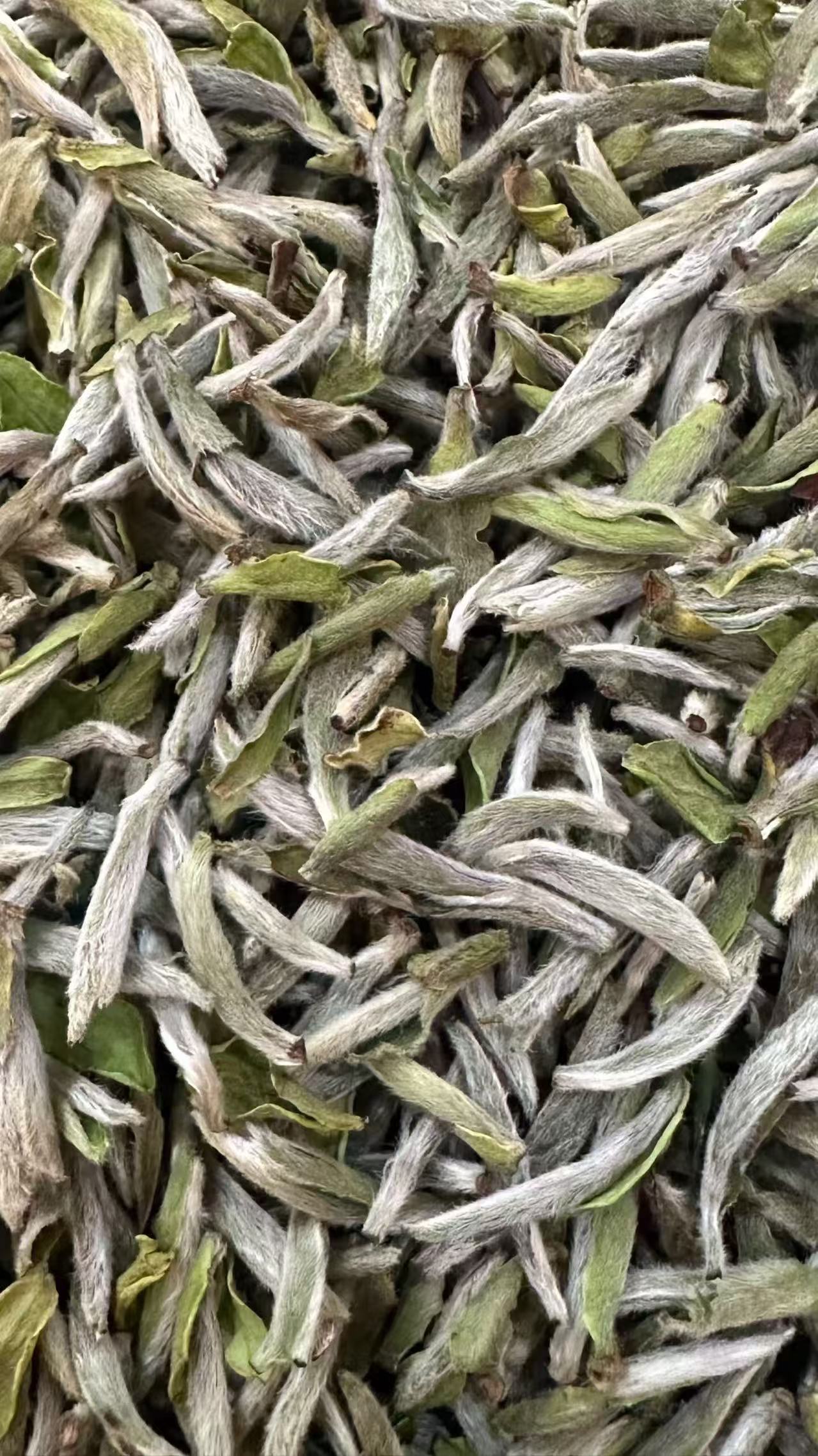 野韵荒野白牡丹2023年管阳高山白茶散茶