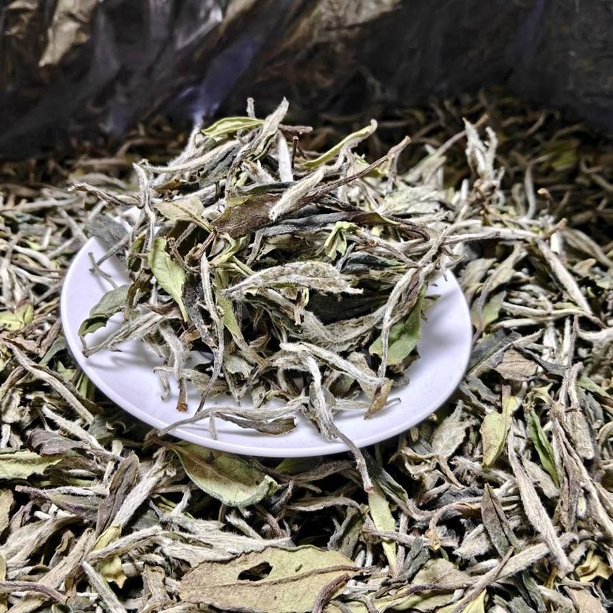 荒野白毫银针 100克罐装 荒野茶青