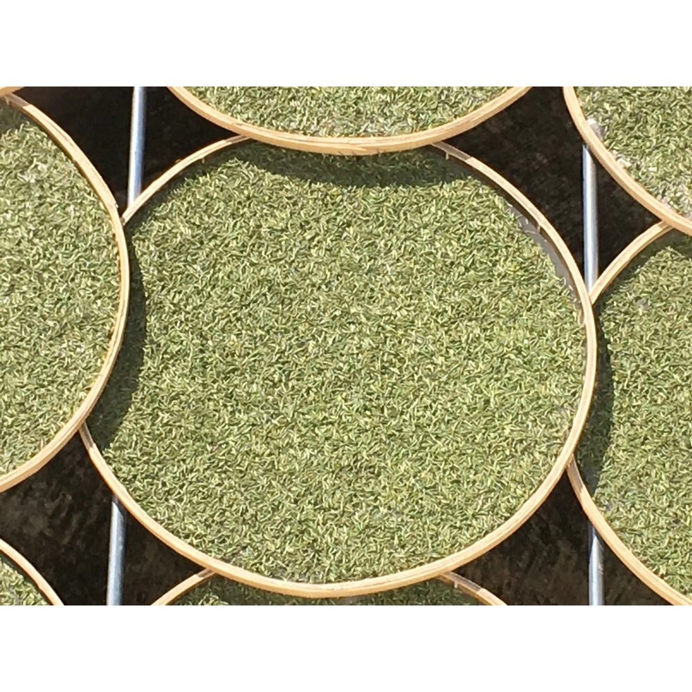 抹茶粉 100克罐装 温水冲调即饮